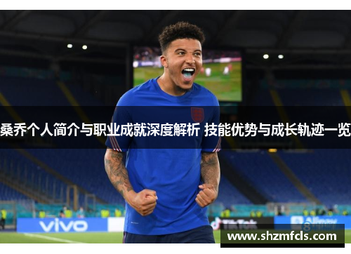 桑乔个人简介与职业成就深度解析 技能优势与成长轨迹一览 桑乔个人简介与职业成就深度解析 技能优势与成长轨迹一览