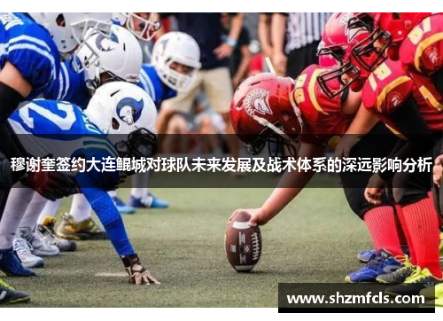 穆谢奎签约大连鲲城对球队未来发展及战术体系的深远影响分析